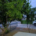 kıbrıs yaşlı bakımevi